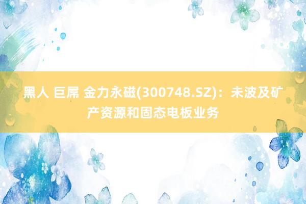 黑人 巨屌 金力永磁(300748.SZ)：未波及矿产资源和固态电板业务