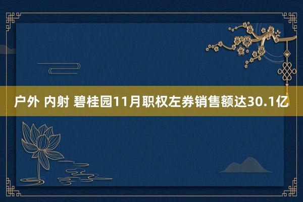 户外 内射 碧桂园11月职权左券销售额达30.1亿