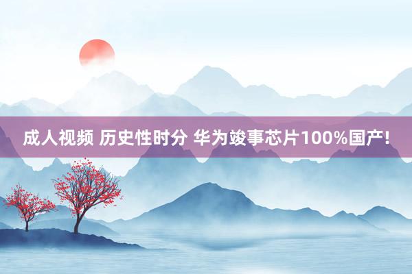 成人视频 历史性时分 华为竣事芯片100%国产!