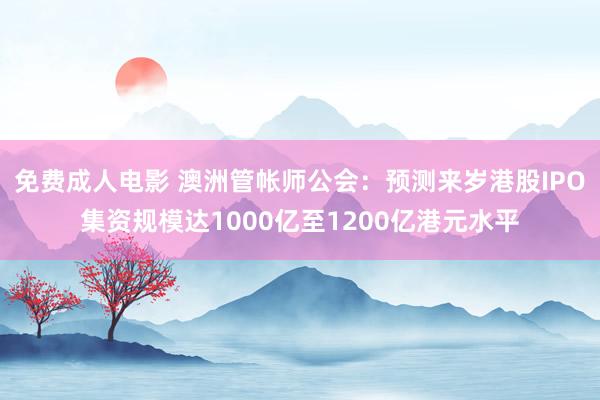 免费成人电影 澳洲管帐师公会：预测来岁港股IPO集资规模达1000亿至1200亿港元水平