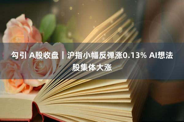 勾引 A股收盘｜沪指小幅反弹涨0.13% AI想法股集体大涨