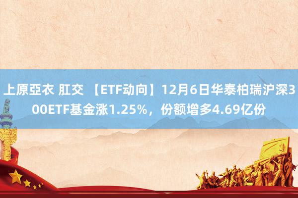 上原亞衣 肛交 【ETF动向】12月6日华泰柏瑞沪深300ETF基金涨1.25%，份额增多4.69亿份