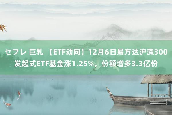 セフレ 巨乳 【ETF动向】12月6日易方达沪深300发起式ETF基金涨1.25%，份额增多3.3亿份