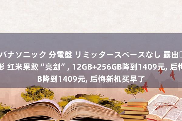 パナソニック 分電盤 リミッタースペースなし 露出・半埋込両用形 红米果敢“亮剑”， 12GB+256GB降到1409元， 后悔新机买早了