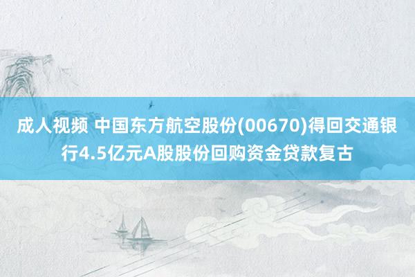 成人视频 中国东方航空股份(00670)得回交通银行4.5亿元A股股份回购资金贷款复古