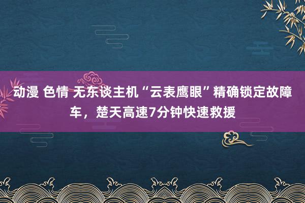 动漫 色情 无东谈主机“云表鹰眼”精确锁定故障车，楚天高速7分钟快速救援