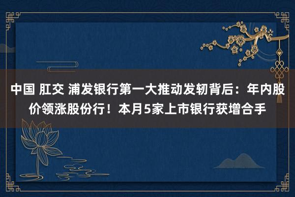 中国 肛交 浦发银行第一大推动发轫背后：年内股价领涨股份行！本月5家上市银行获增合手