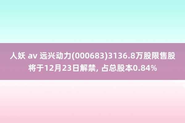 人妖 av 远兴动力(000683)3136.8万股限售股将于12月23日解禁， 占总股本0.84%