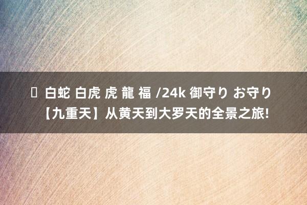 ✨白蛇 白虎 虎 龍 福 /24k 御守り お守り 【九重天】从黄天到大罗天的全景之旅!