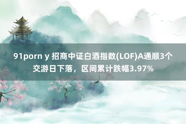 91porn y 招商中证白酒指数(LOF)A通顺3个交游日下落，区间累计跌幅3.97%