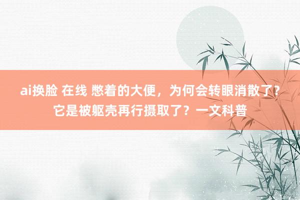 ai换脸 在线 憋着的大便，为何会转眼消散了？它是被躯壳再行摄取了？一文科普