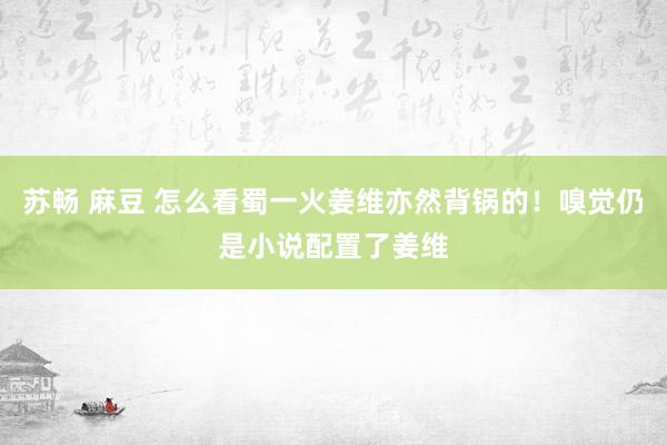 苏畅 麻豆 怎么看蜀一火姜维亦然背锅的！嗅觉仍是小说配置了姜维