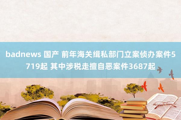 badnews 国产 前年海关缉私部门立案侦办案件5719起 其中涉税走擅自恶案件3687起