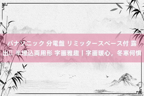 パナソニック 分電盤 リミッタースペース付 露出・半埋込両用形 字画雅趣丨字画暖心，冬寒何惧