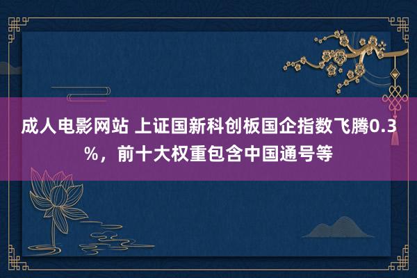 成人电影网站 上证国新科创板国企指数飞腾0.3%，前十大权重包含中国通号等