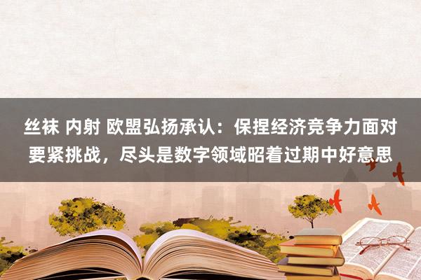 丝袜 内射 欧盟弘扬承认：保捏经济竞争力面对要紧挑战，尽头是数字领域昭着过期中好意思