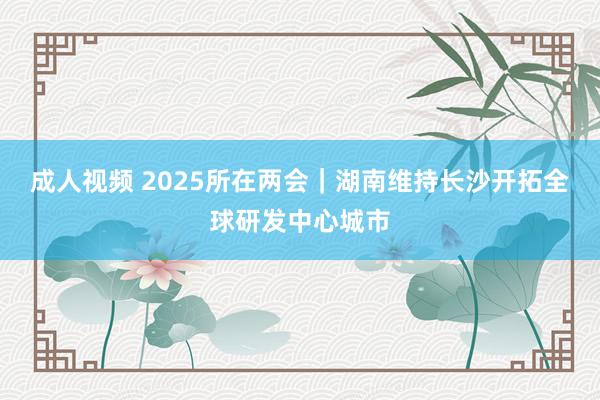 成人视频 2025所在两会｜湖南维持长沙开拓全球研发中心城市