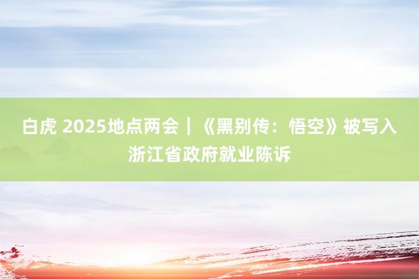 白虎 2025地点两会｜《黑别传：悟空》被写入浙江省政府就业陈诉