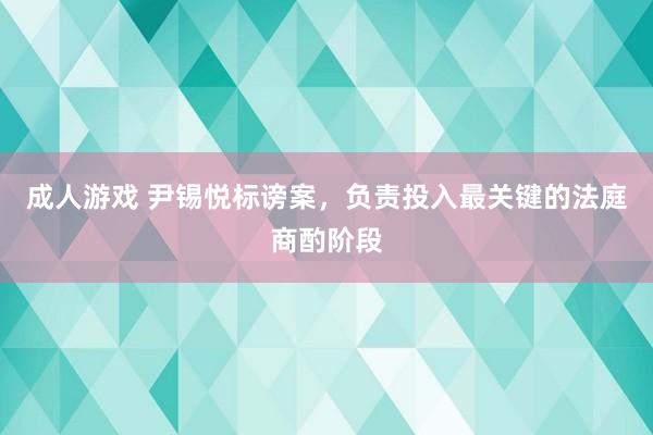 成人游戏 尹锡悦标谤案，负责投入最关键的法庭商酌阶段