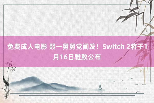 免费成人电影 叕一舅舅党阐发！Switch 2将于1月16日雅致公布